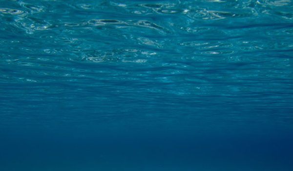 Dual Handle Video Grip