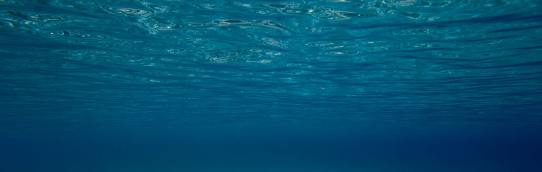 Dual Handle Video Grip